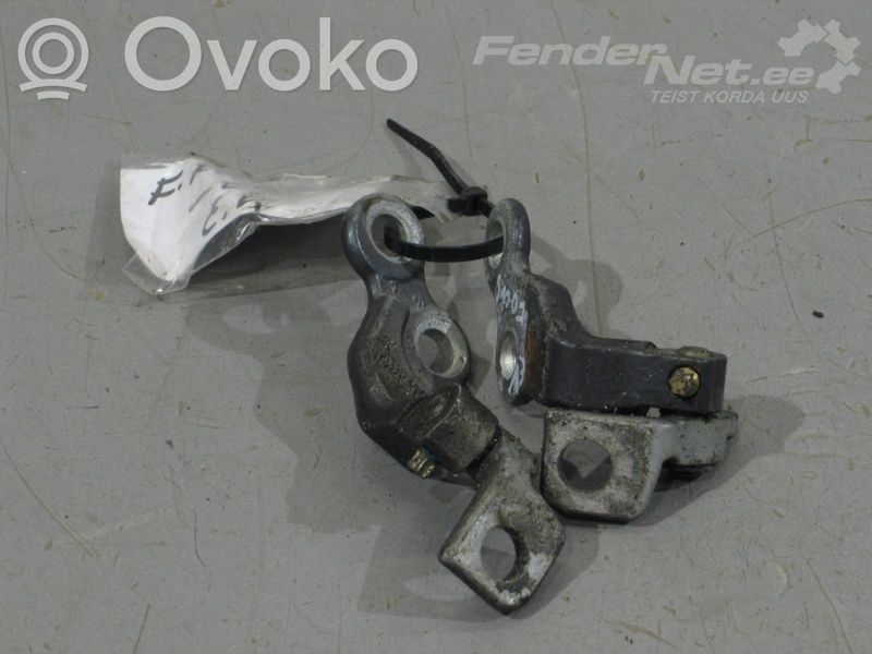 Front door hinge set   4089739