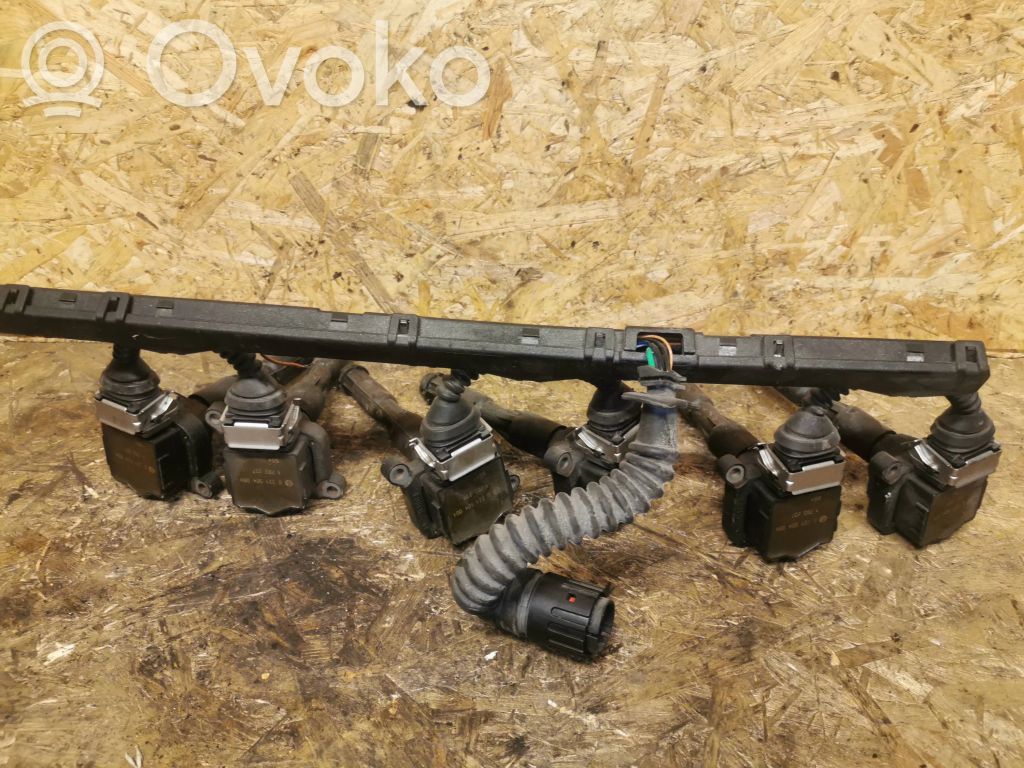 High voltage ignition coil   1703227,0221504004,1703525,12131703228,12131703825,12131748017,12131748018,12137599219,12139067830,1748017,1748018,7599219,LR022494,NEC101000L