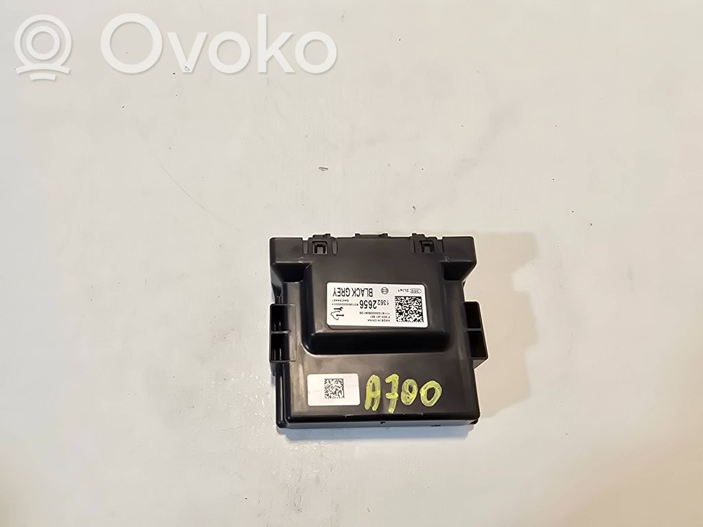 Opel Mokka X Other control units/modules 
