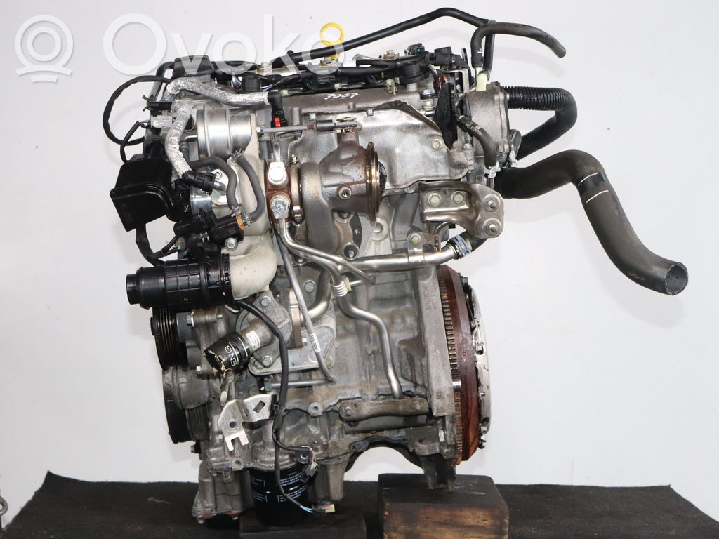 Motor   55493608