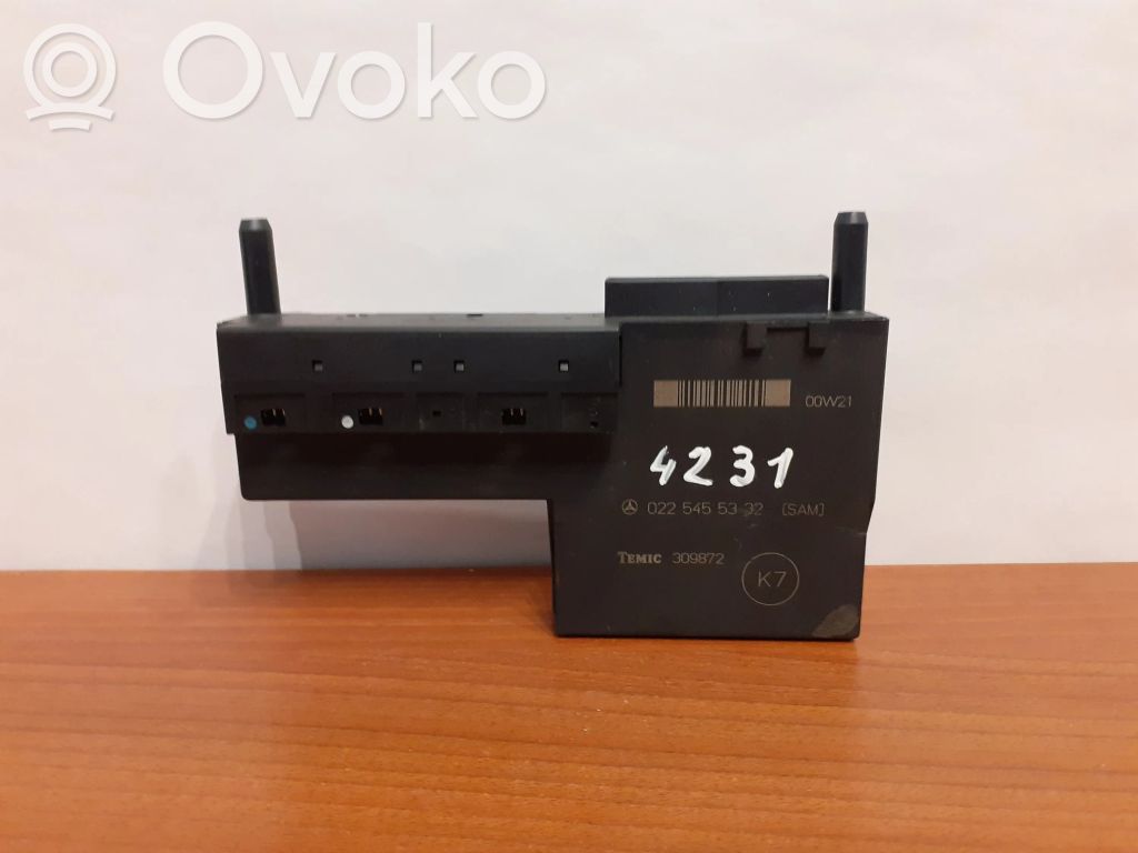 Mercedes-Benz E W210 Fuse module 