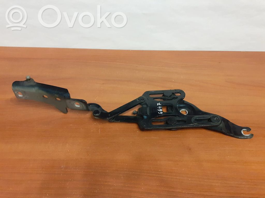 BMW X5 E70 Vyris (-iai) variklio dangčio 