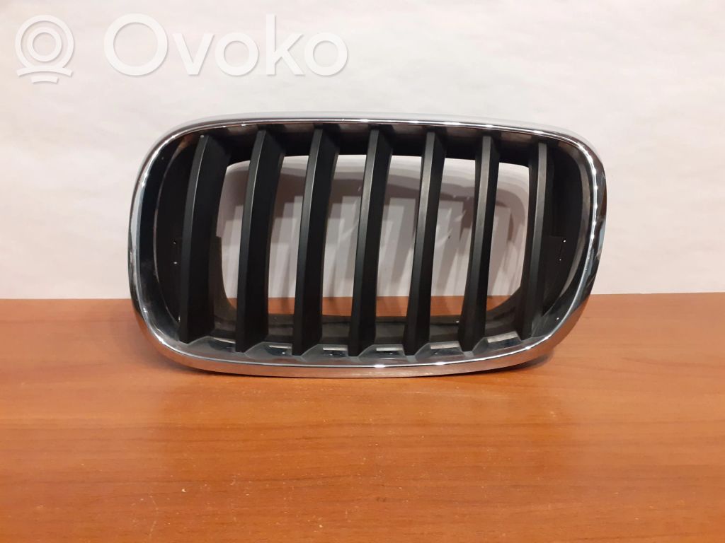 BMW X5 E70 Grotelės priekinės 