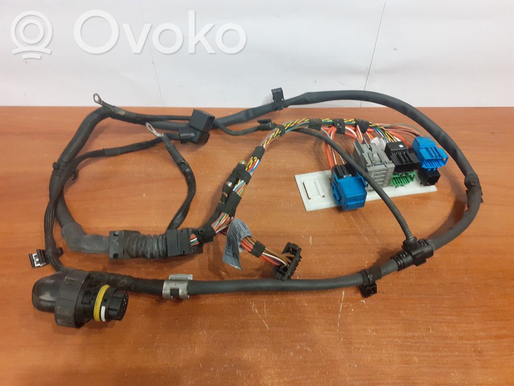 BMW X5 E70 Other wiring loom 