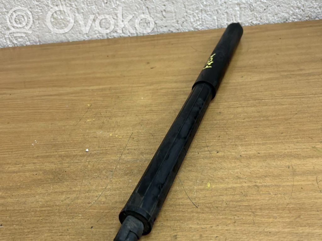 Tailgate/trunk strut/damper   729419901,F2152,483020