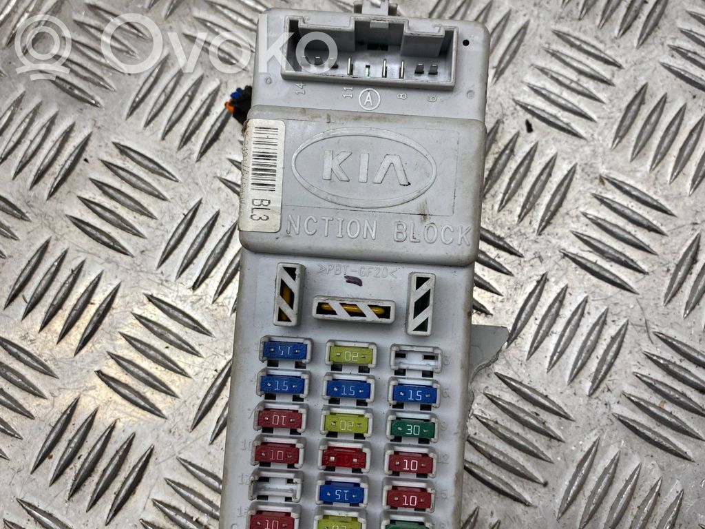 KIA Sorento Fuse module 