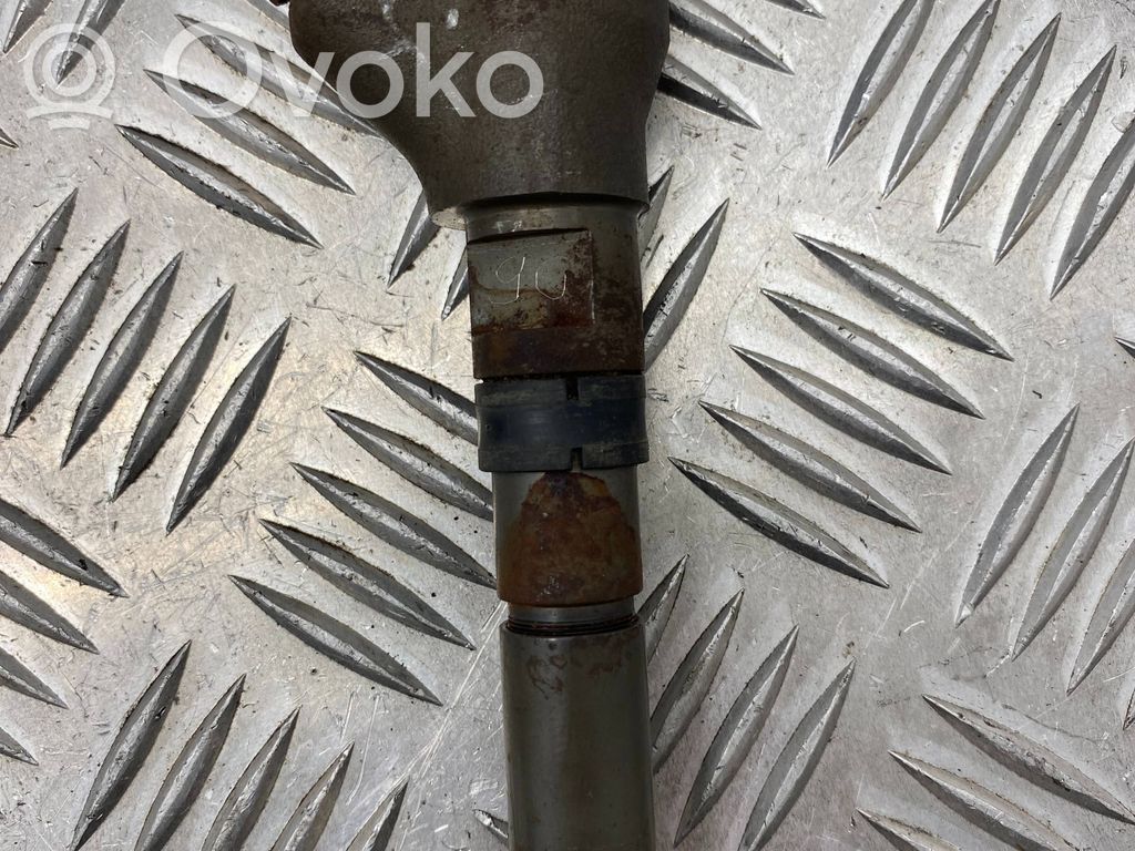 Peugeot 406 Fuel injector 