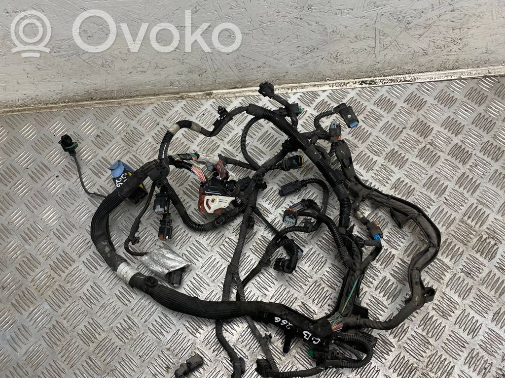 Citroen Berlingo Engine installation wiring loom 