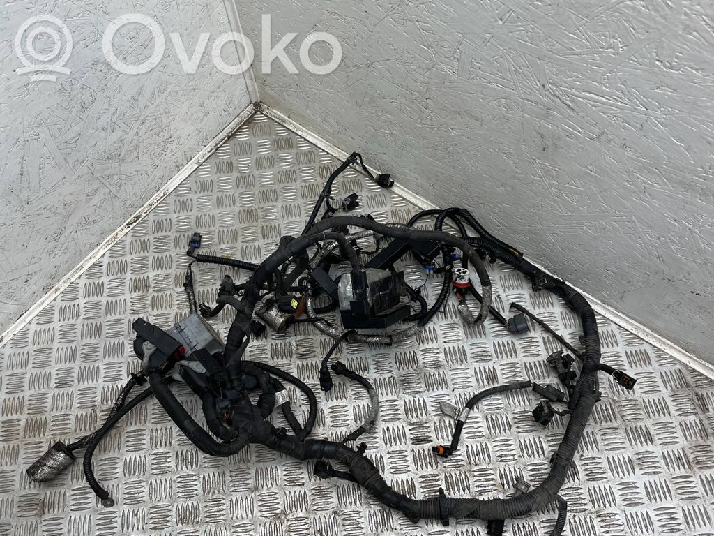 Chevrolet Captiva Cableado de instalación del motor 