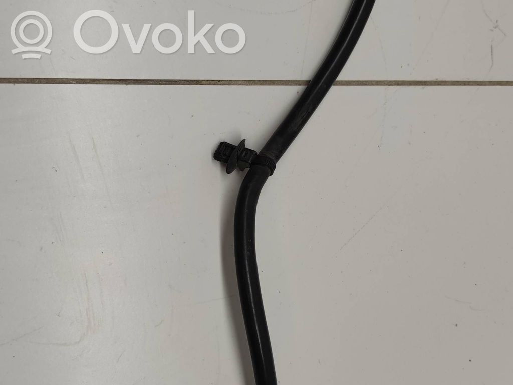 Ford Focus Maakaapeli, akku 