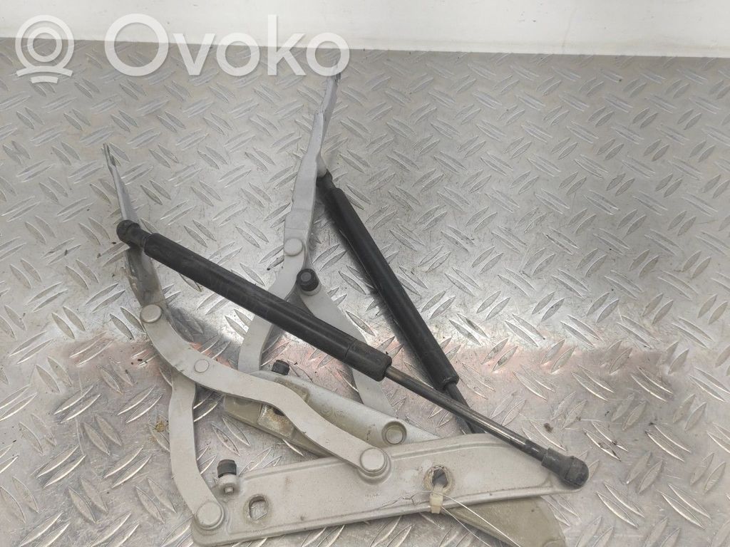 Tailgate/trunk strut/damper