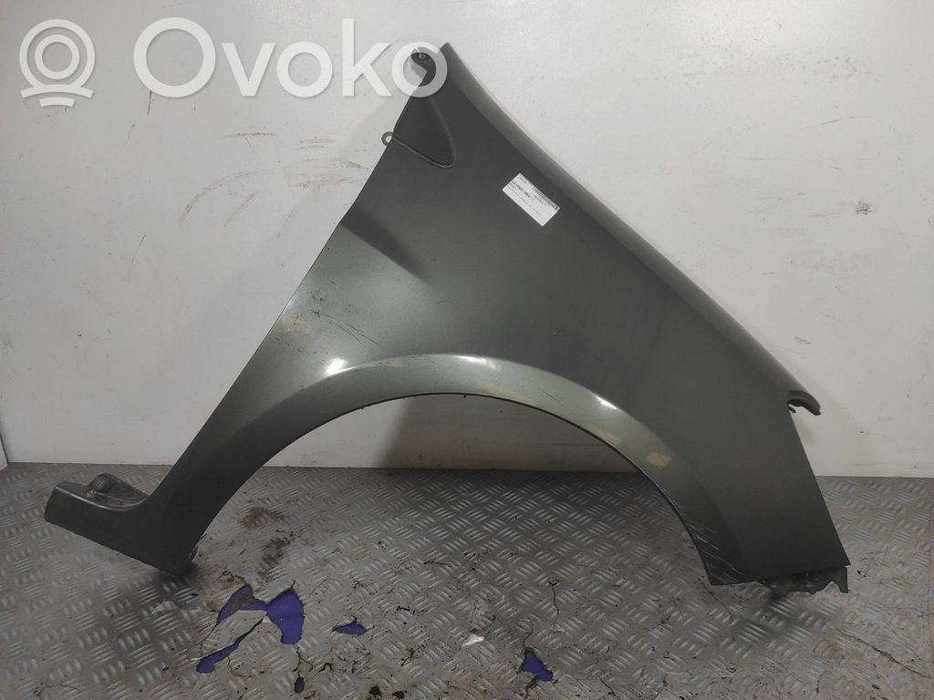 Renault Clio III Lokasuoja 