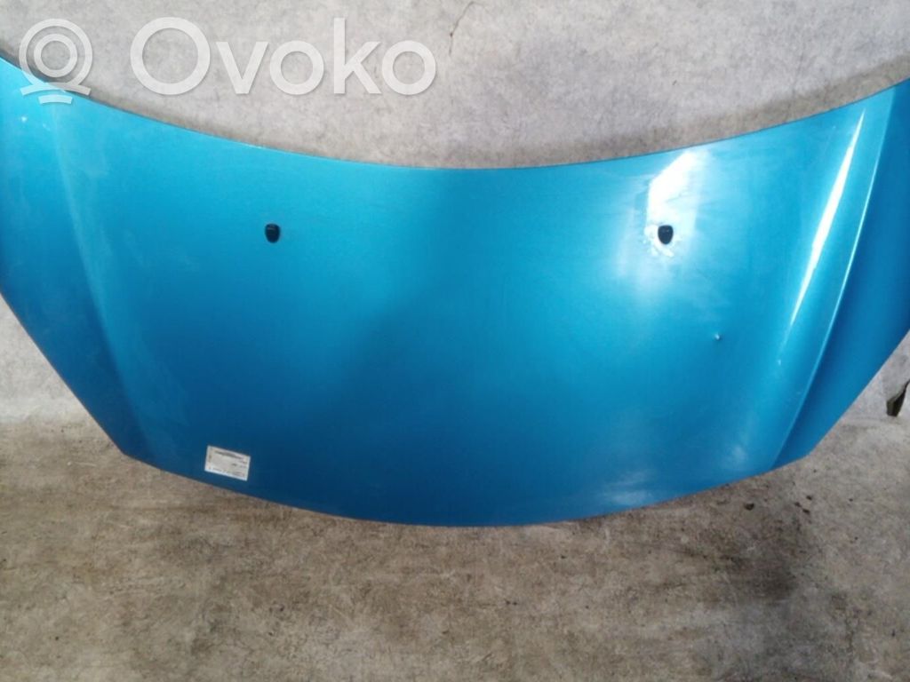 Engine bonnet/hood
