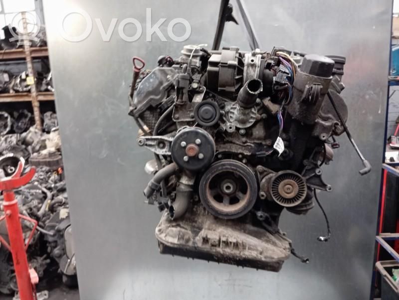 Motor