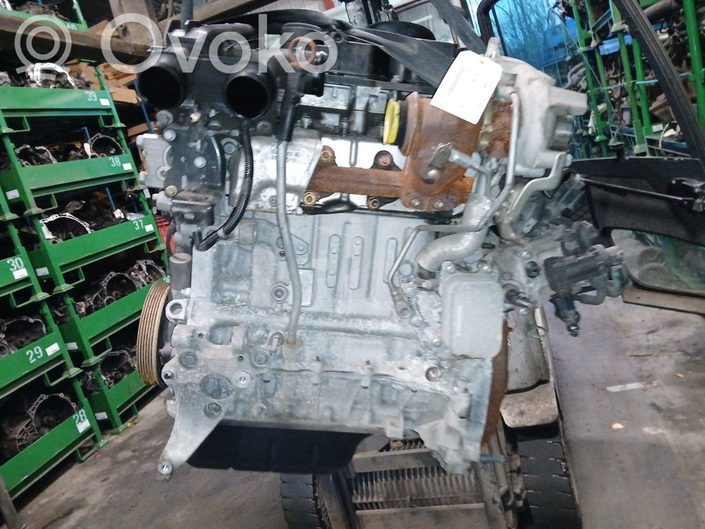 Motor   1614416880