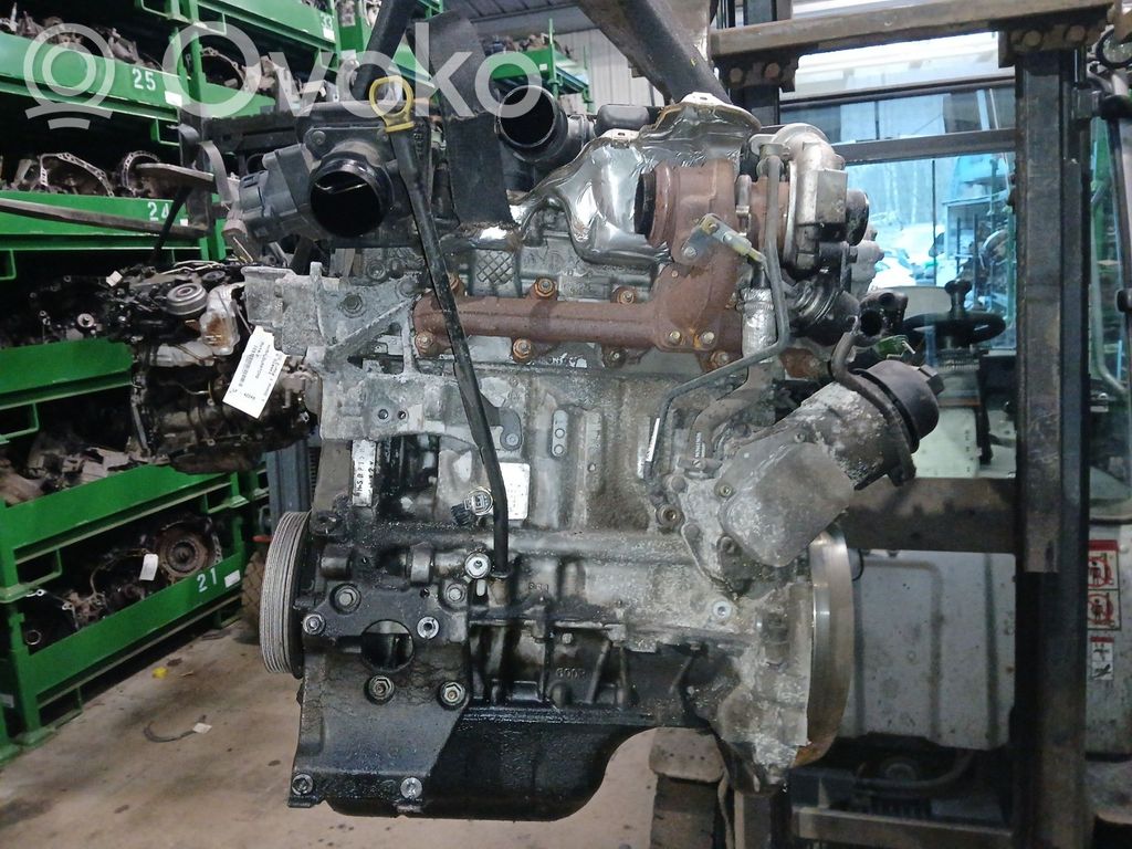 Motor
