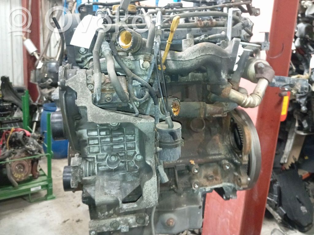 Motor
