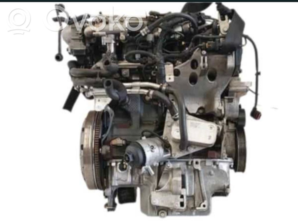 Motor   Z19DT
