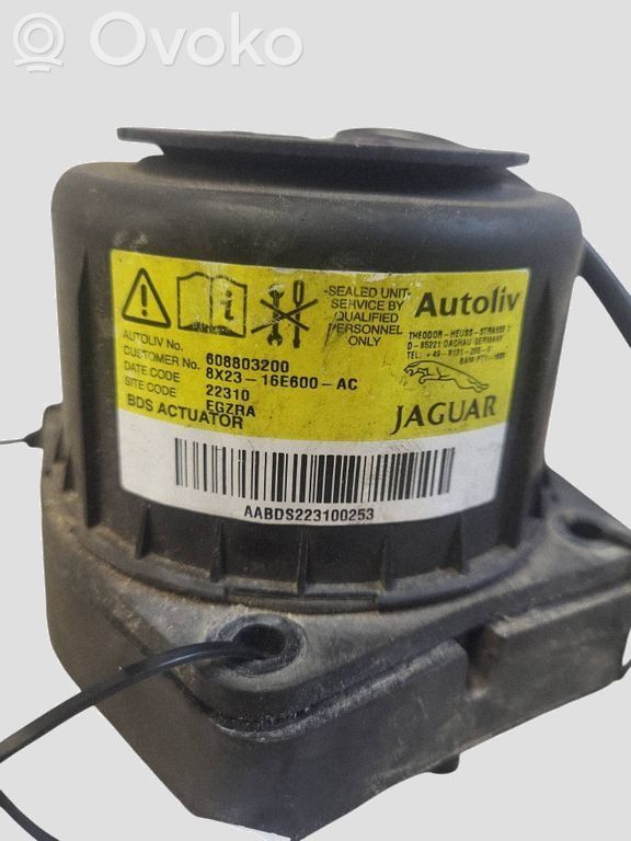 Jaguar XF X250 Airbag pietoni 