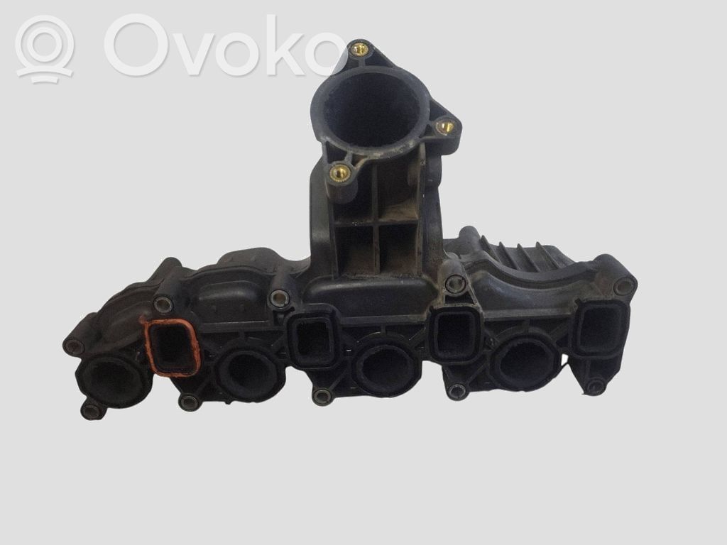 Skoda Octavia Mk2 (1Z) Galerie admisie 
