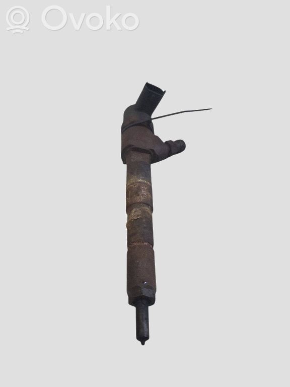 Injector combustibil   0445110243