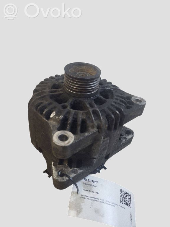 Lichtmaschine   9661898880