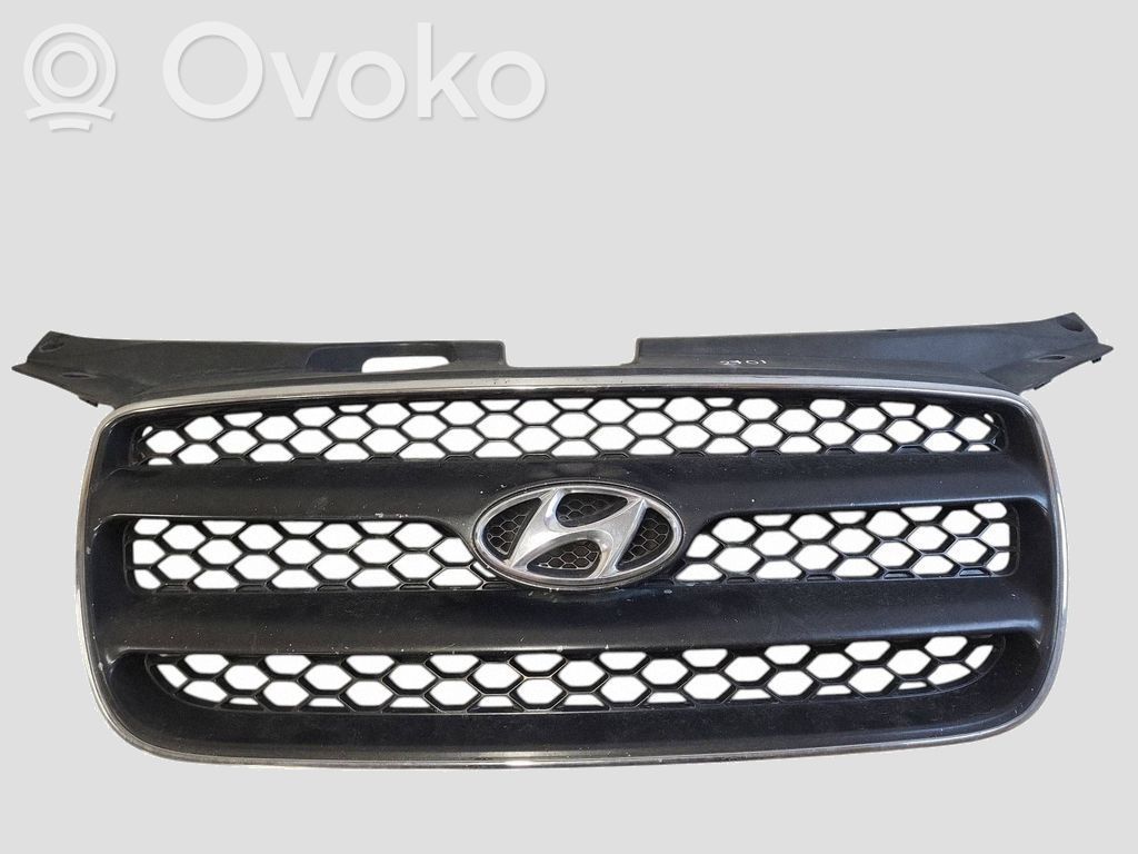 Hyundai Santa Fe Grilă radiator față 