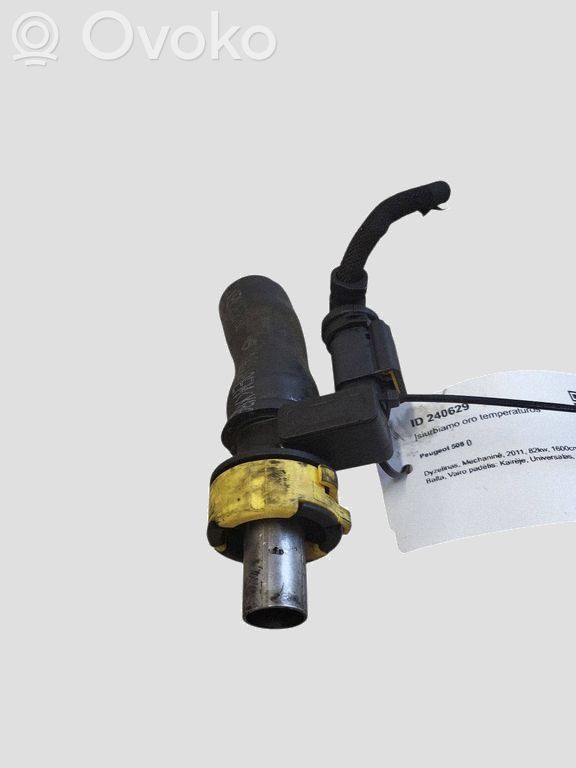 Peugeot 508 Ansaugluftsensor 