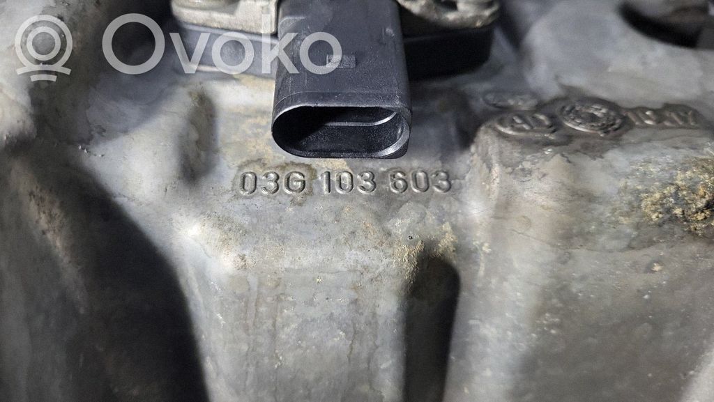 Volkswagen Caddy Coppa dell’olio 