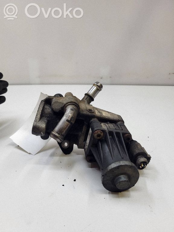 Ford Transit Valvola EGR