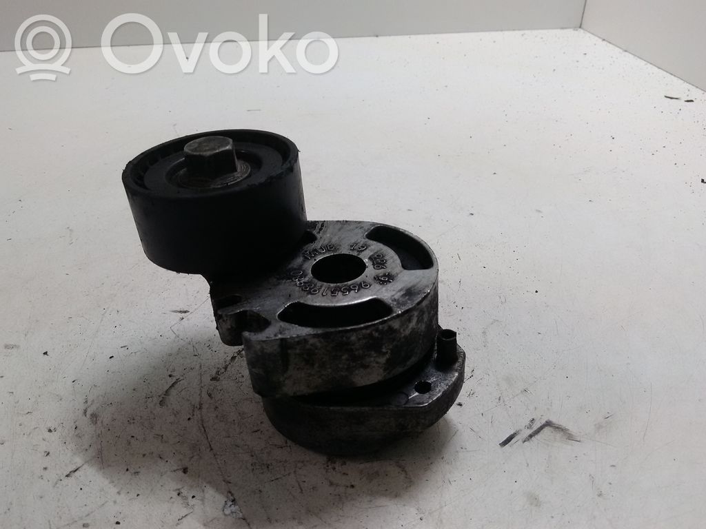 Peugeot 206 Diržo įtempėjas 