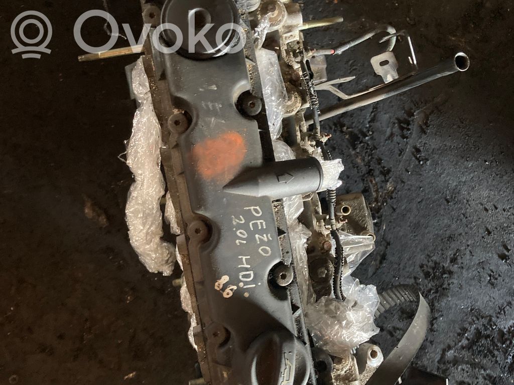 Motor   10DYLP,RHZ
