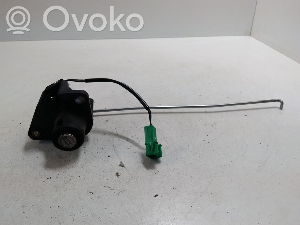 Tailgate/trunk/boot lock/catch/latch   4117164