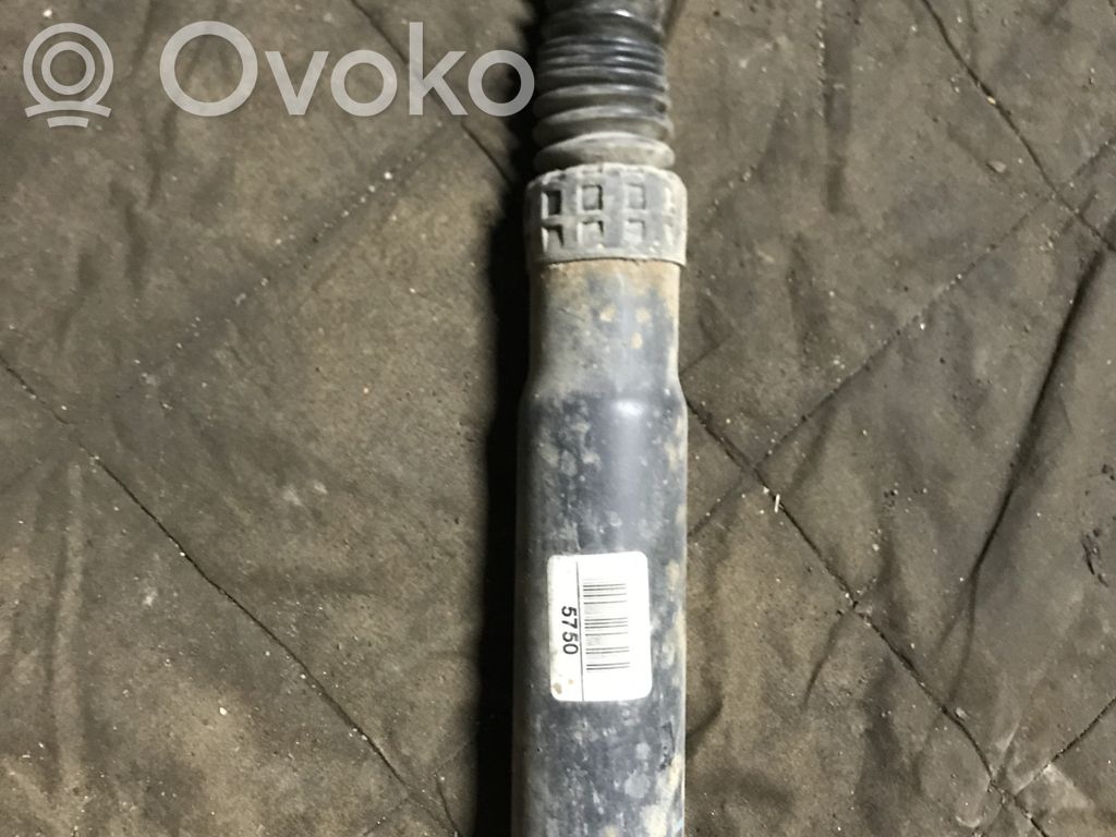 Citroen C8 Stoßdämpfer hinten 