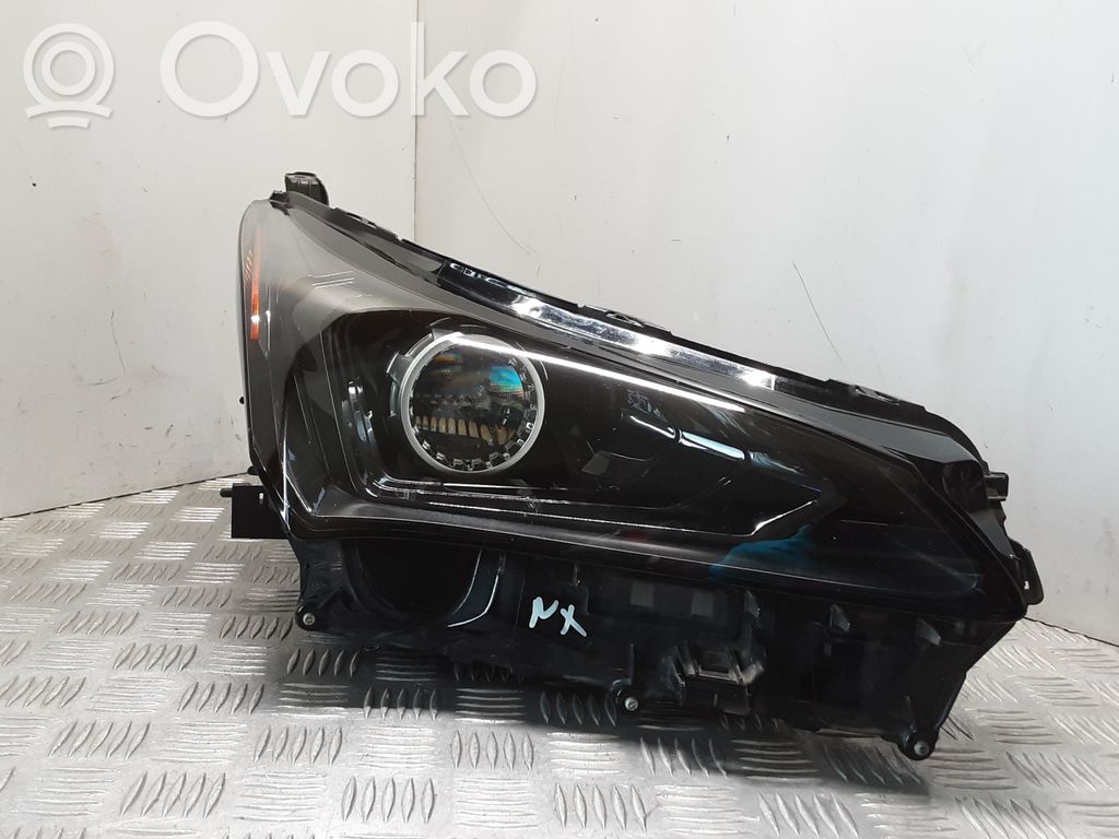 Lexus NX Headlight/headlamp 