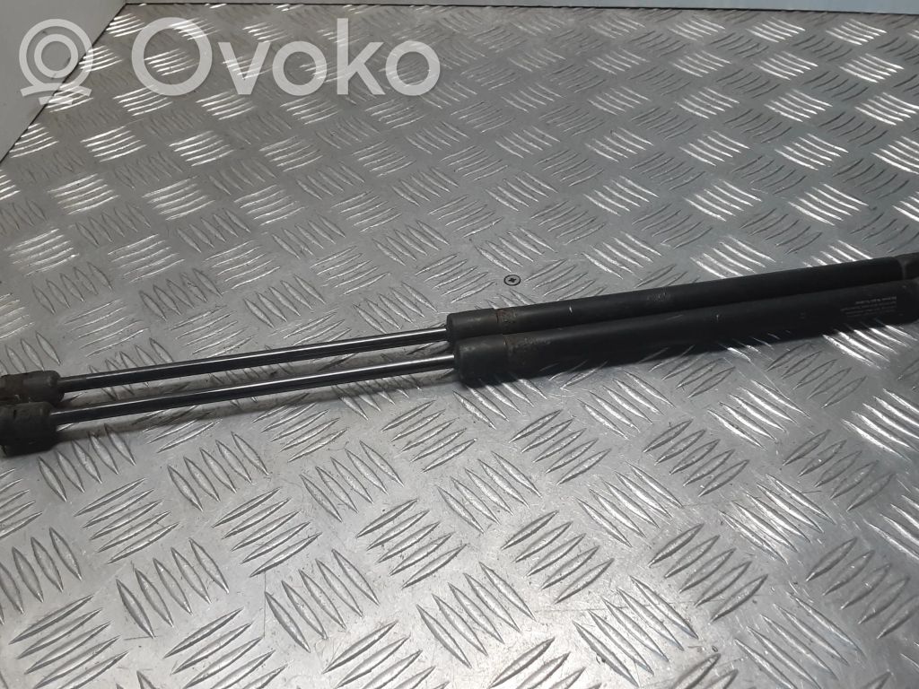 Tailgate/trunk strut/damper
