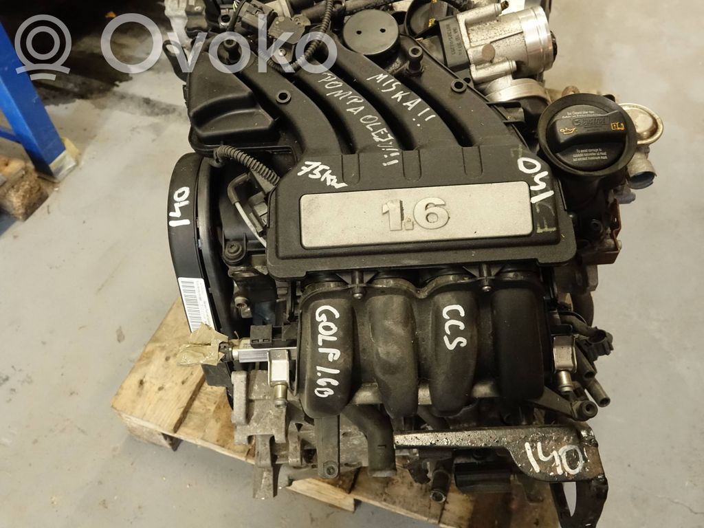 Volkswagen Golf VI Engine 