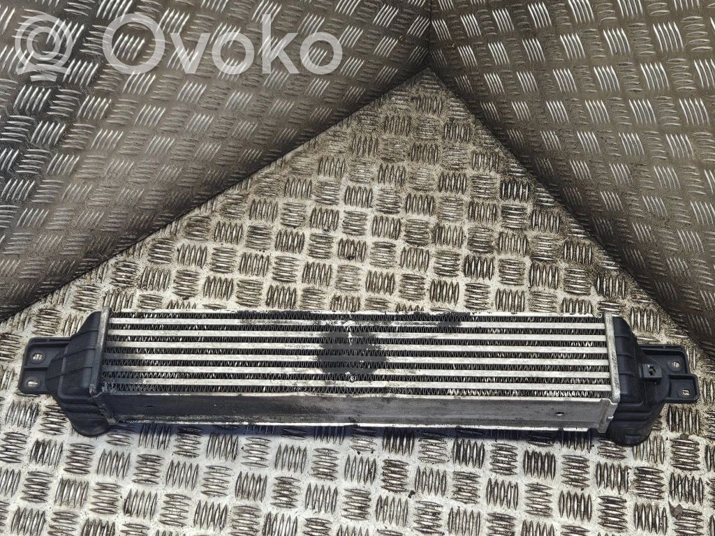 Opel Antara Interkūlerio radiatorius 