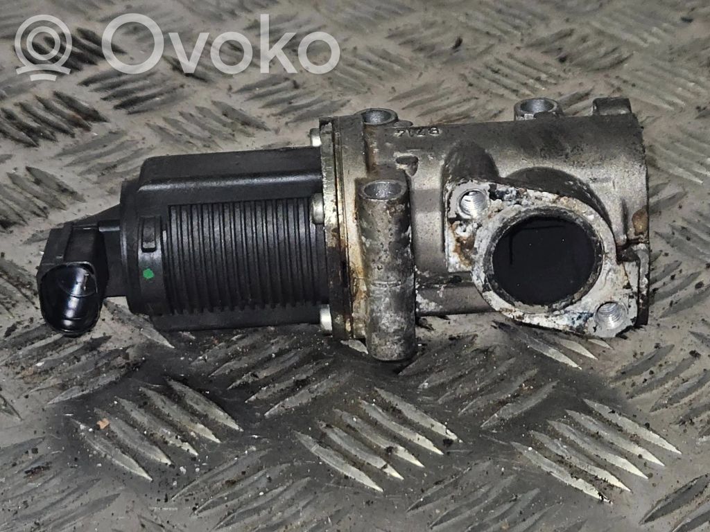 Válvula EGR   50024005,09T112