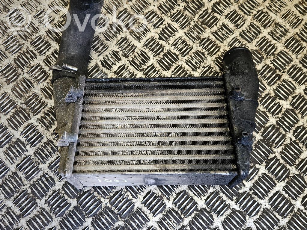 Volkswagen PASSAT B5 Interkūlerio radiatorius 