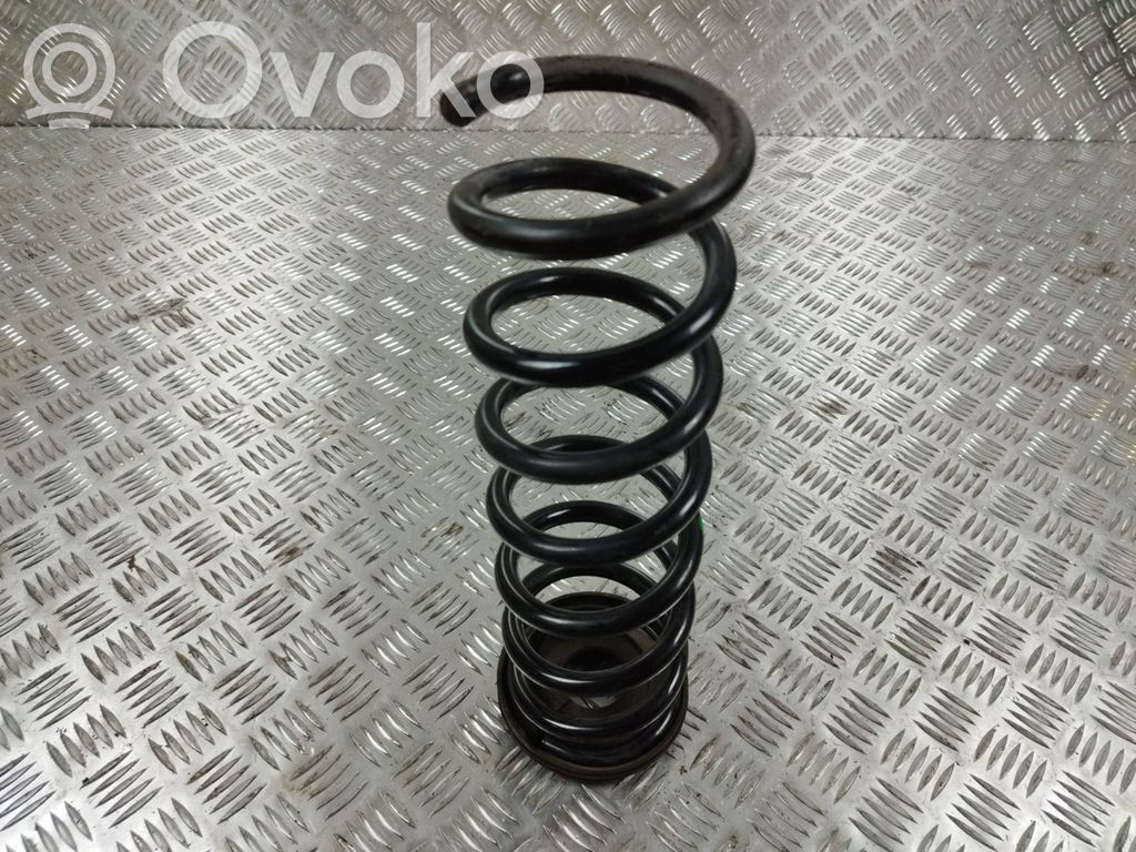 Rear coil spring