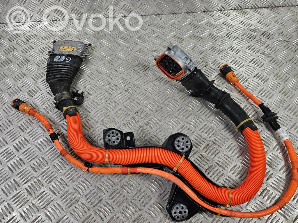 BMW X3 G01 Otros cableados 