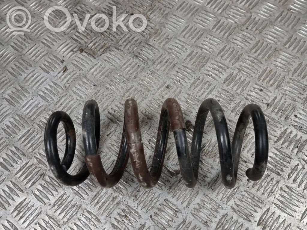 Rear coil spring