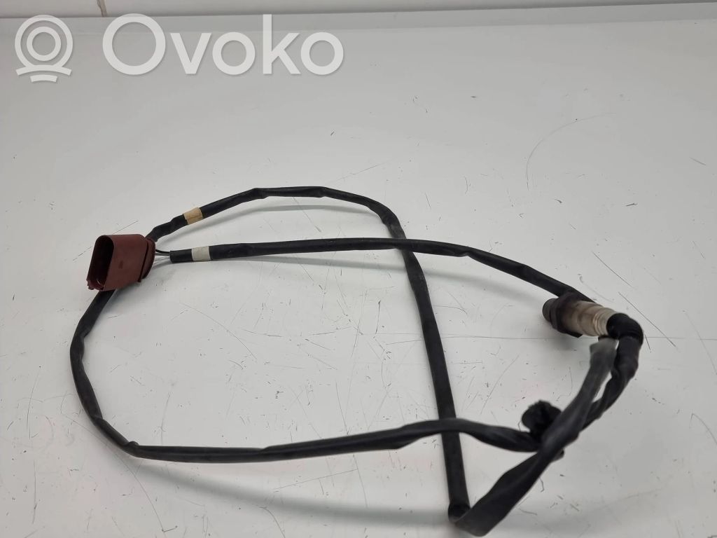 Зонд «Lambda»   07C906262