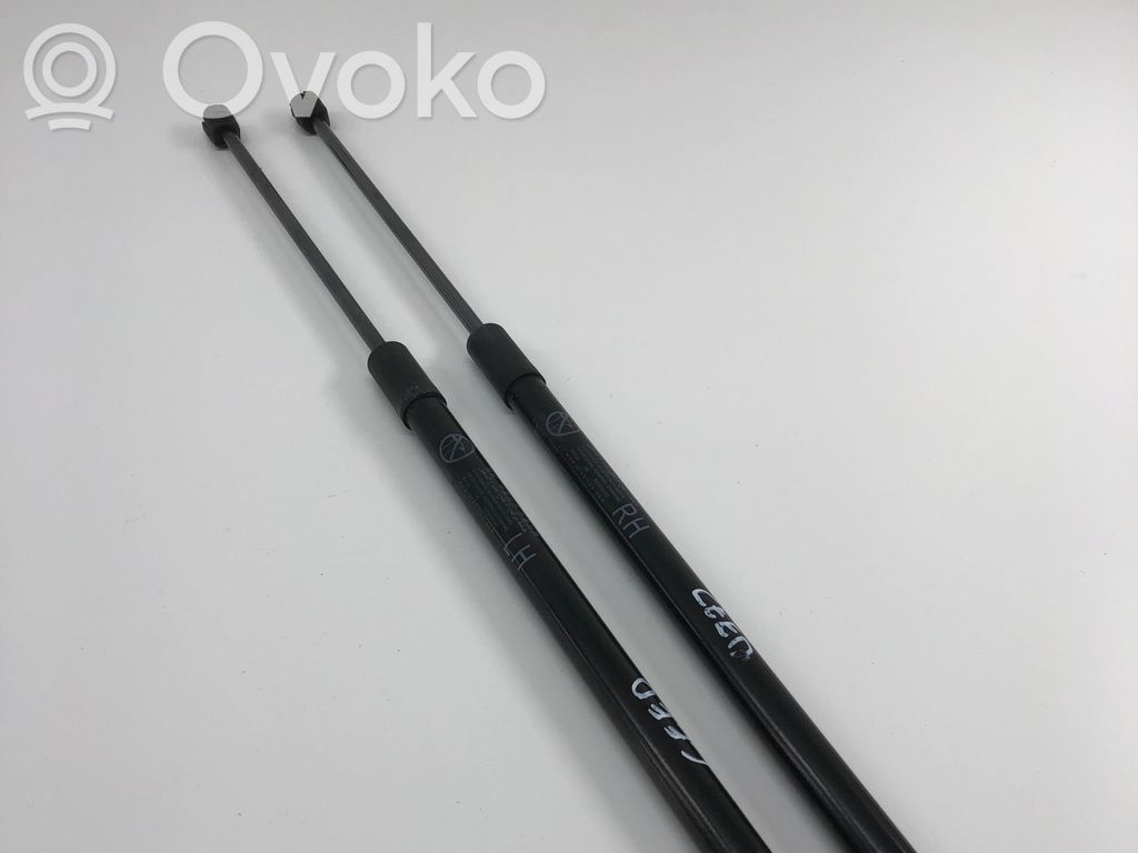 KIA Ceed Tailgate/trunk strut/damper 