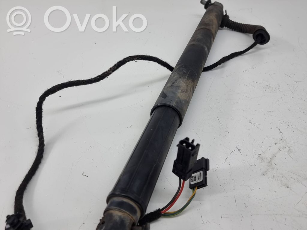 Tailgate/trunk strut/damper   7188489