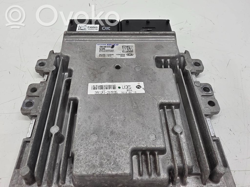 KIA Sportage Engine control unit/module 