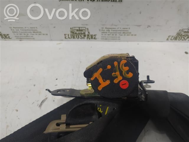Cinturón trasero