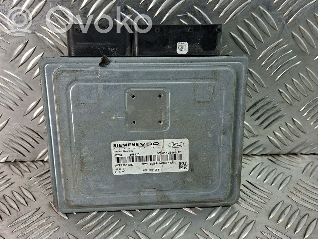Ford Focus Galios (ECU) modulis 