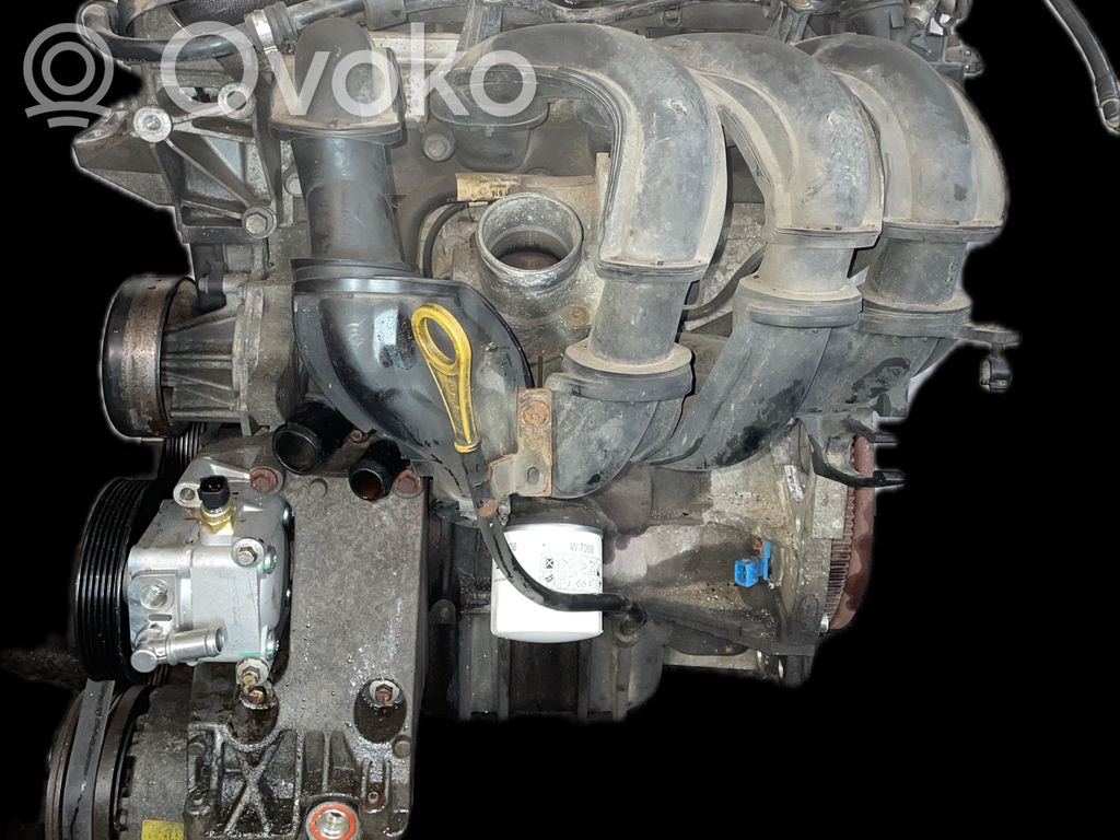 Ford Focus Variklis 